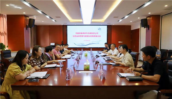 王新龍一行到市古鎮(zhèn)投資公司調研指導